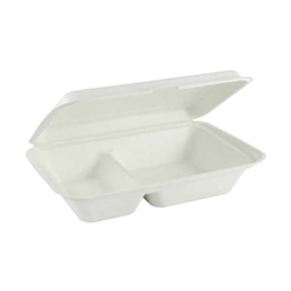 7254938_Contenant-charniere-bagasse