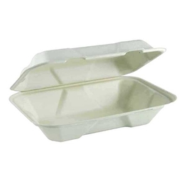 7254931_Contenant-charniere-bagasse